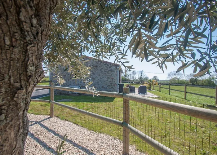 Du Bois Brillant Hébergement de vacances Couffé