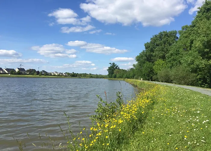 Hébergement de vacances Du Bois Brillant *